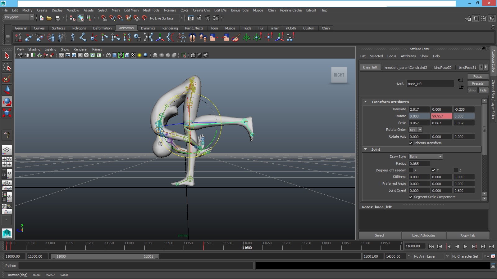Maya Animation Move Knee.jpg