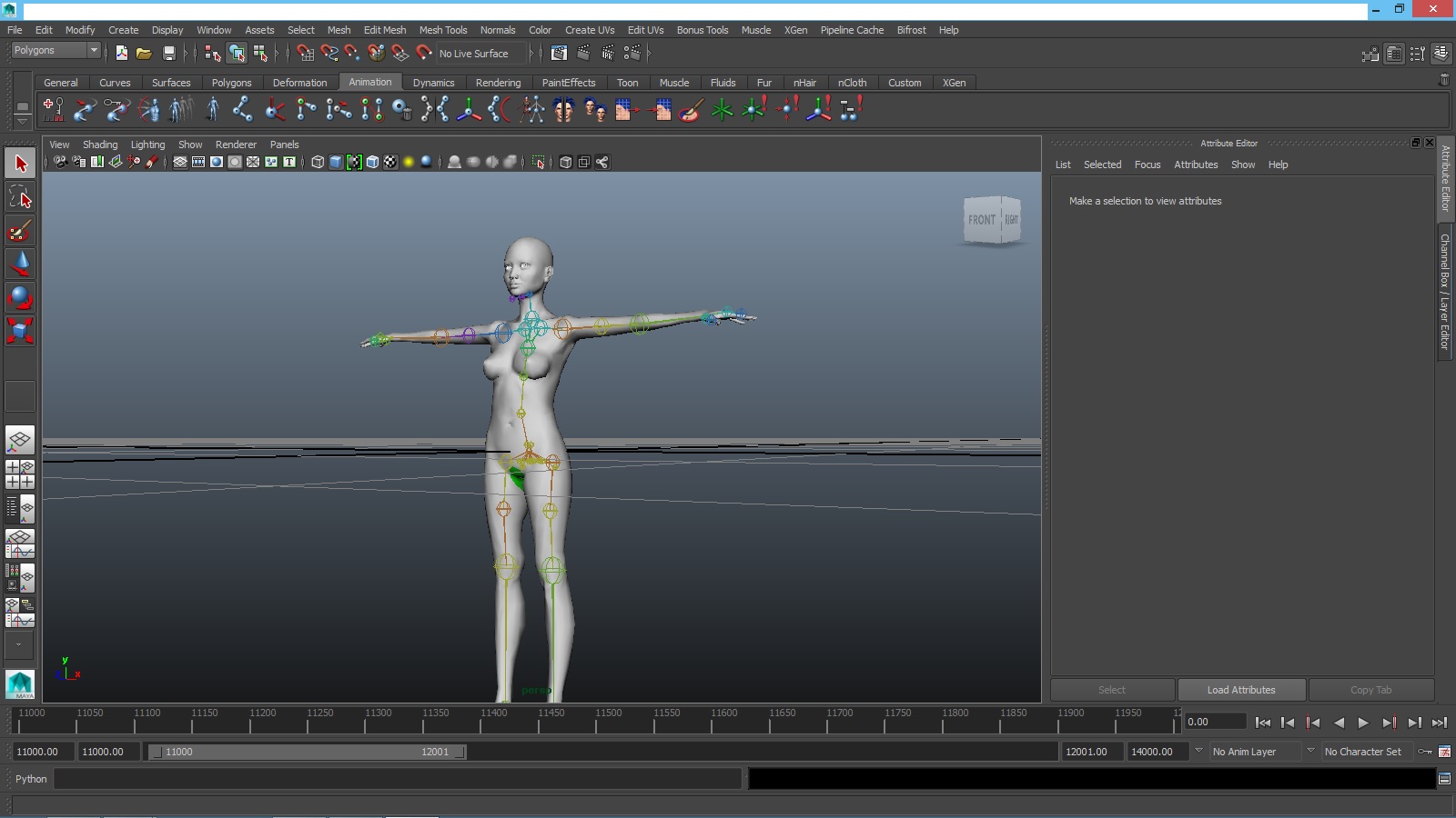 Maya Animation.jpg