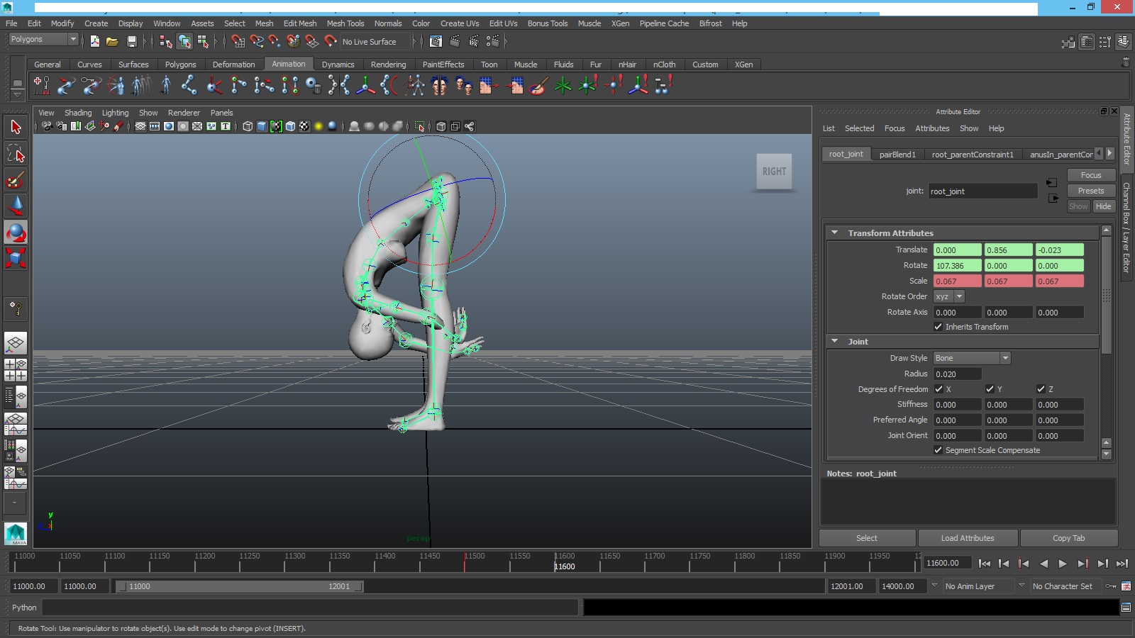 Maya Animation Set Frame.jpg