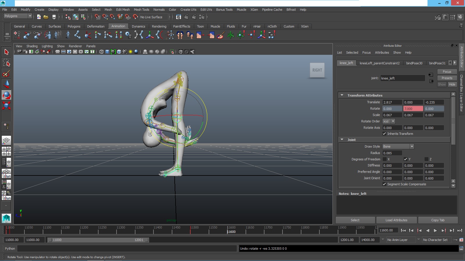 Maya Animation Choosing Knee.jpg